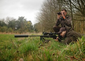 Sika_Deer_2